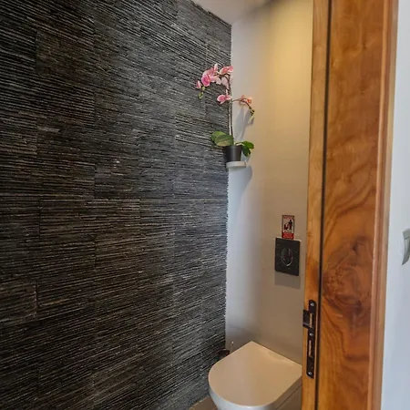 Satin Svi1 圣纳帕